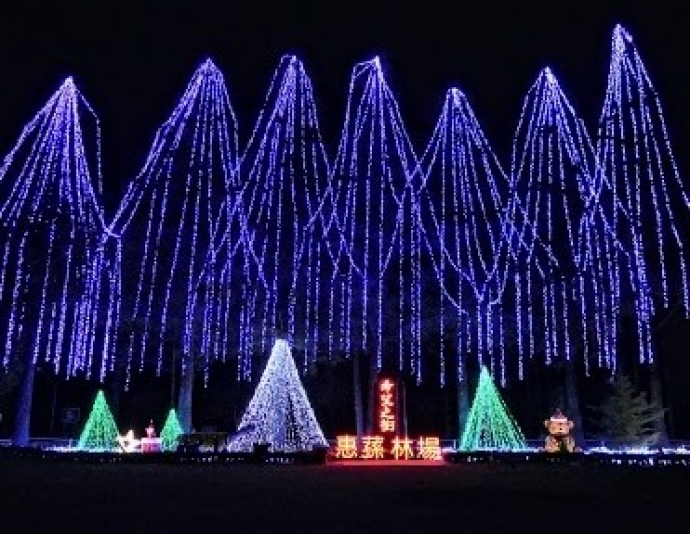 全台最高耶誕樹！惠蓀林場「希望之樹」點燈 閃亮到元宵節