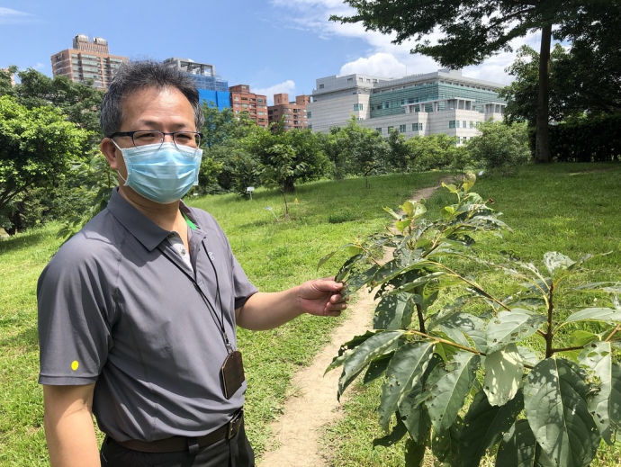 找回人與花草的連結 植物學者曾彥學就任林試所長：讓台灣原生植物出頭