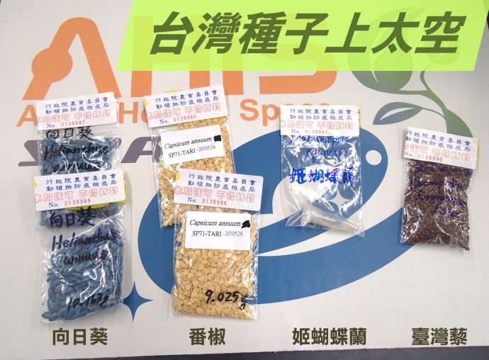【媒體報導】上太空的台灣種子要從日本回來了！ 中小學生接力研究