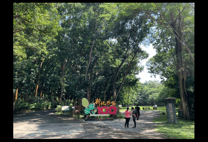 【媒體報導】到市區旁的森林秘境深呼吸！台南「新化林場」全台最大桃花心木林