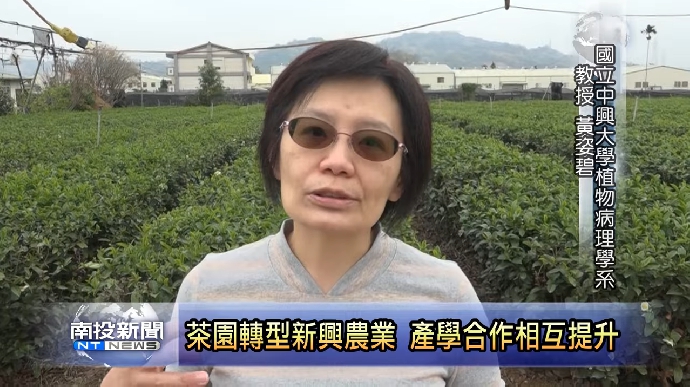 【公關組】茶農余金炘積極轉型傳統農業 產學合作相互提升