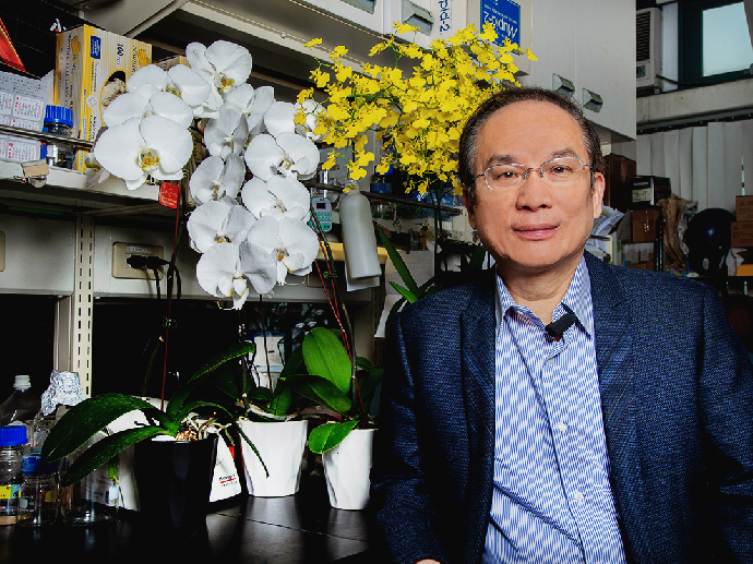 解密「蘭花之美」關鍵基因 中興大學生技所楊長賢當選中研院生科院士