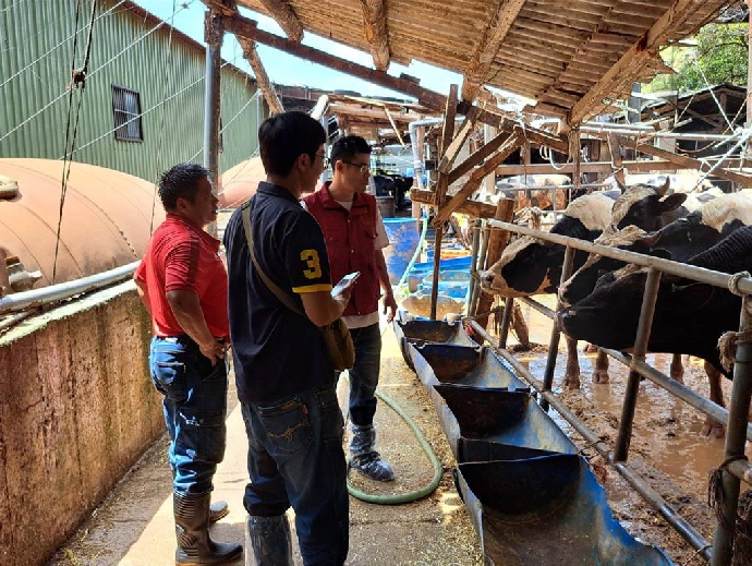 新北啟動牛結節疹防疫 結合學界加強蟲媒監控