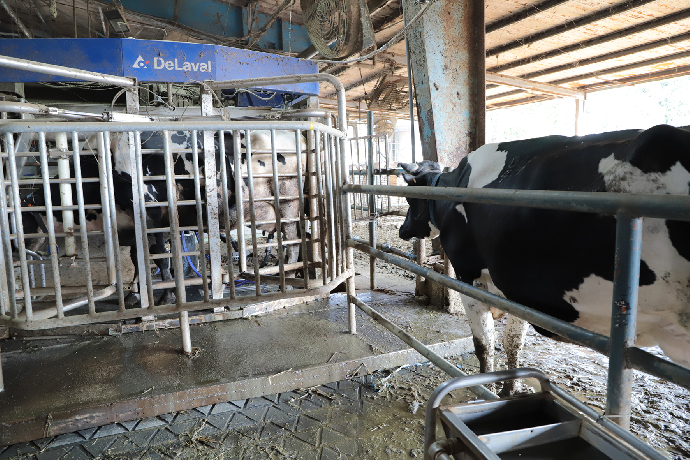 中興大學畜產試驗場通過動物福利標章評鑑 全國首座獲認證大學畜牧試驗場