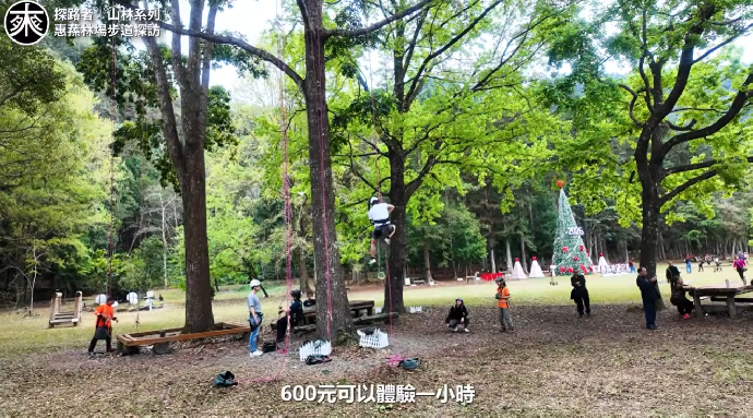 惠蓀林場最強環型步道路線攻略：山嵐小徑、巨松臺、湯公碑一次滿足！魔幻森林與藍腹鷴驚喜現身｜山林系列｜探路者