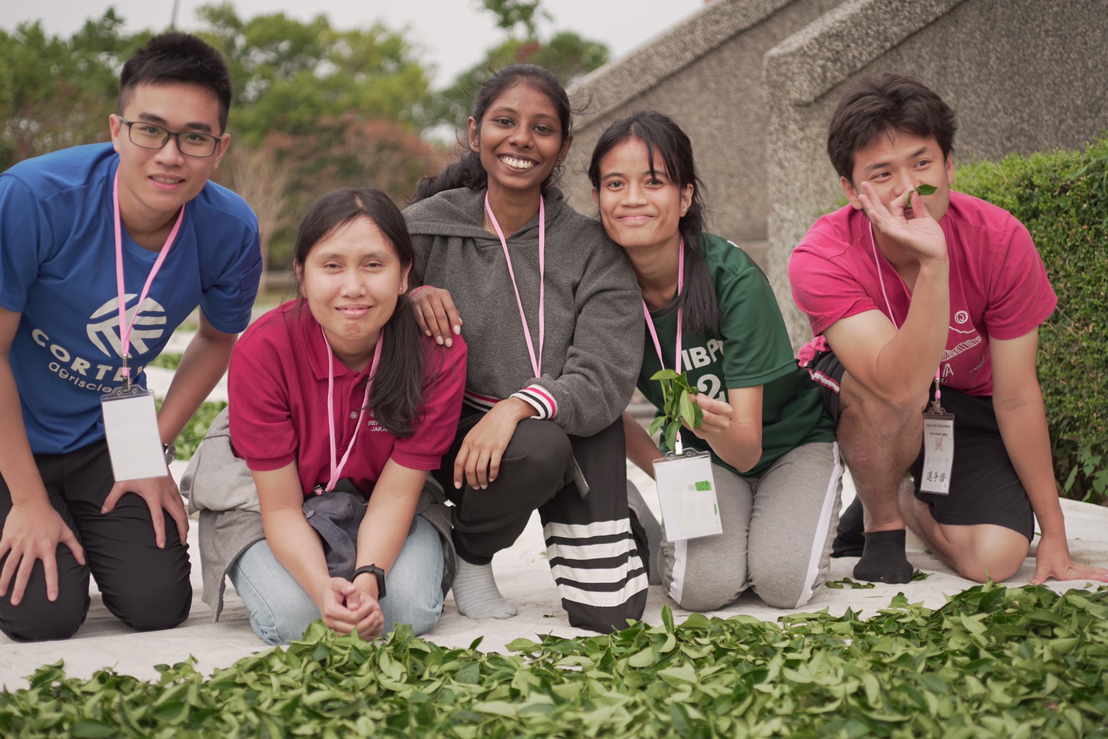 本校國際農企業學士學程國際生為體驗茶文化組隊參賽