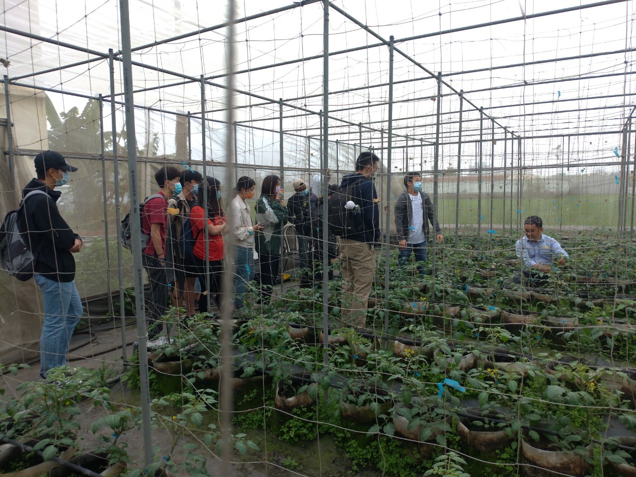興大農推中心與農服團合作 外籍生體驗台灣多元農業文化