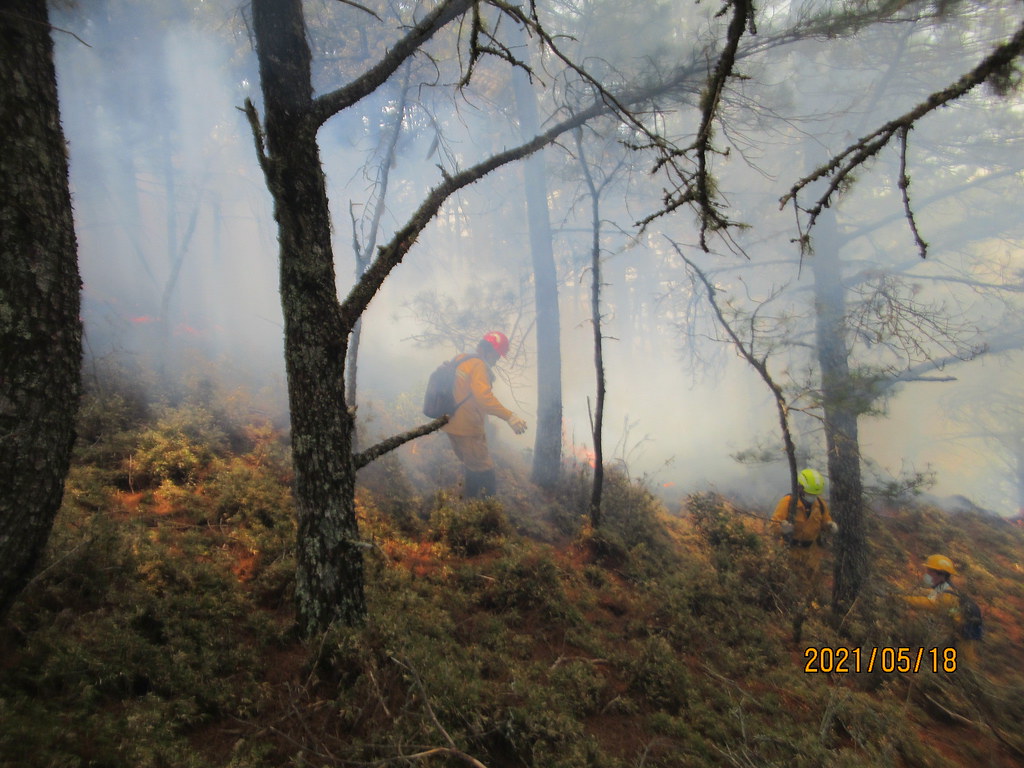 玉山森林火災。圖片來源：嘉義林管處