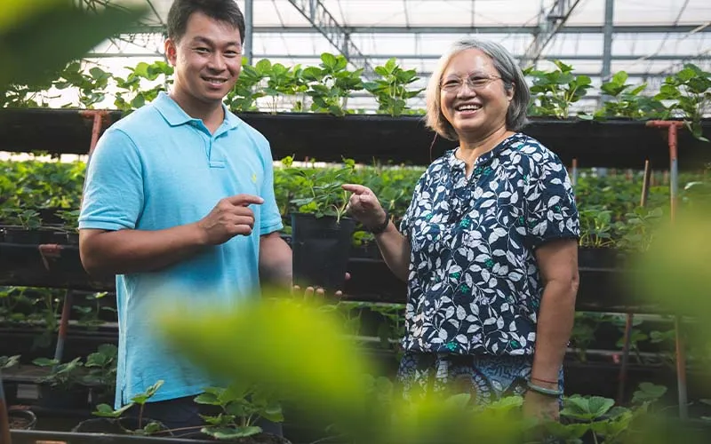 中興大學園藝學系教授宋妤（右）將根溫控制技術，引入青農黃文慶經營的沐光農場，進行溫室草莓的試驗。