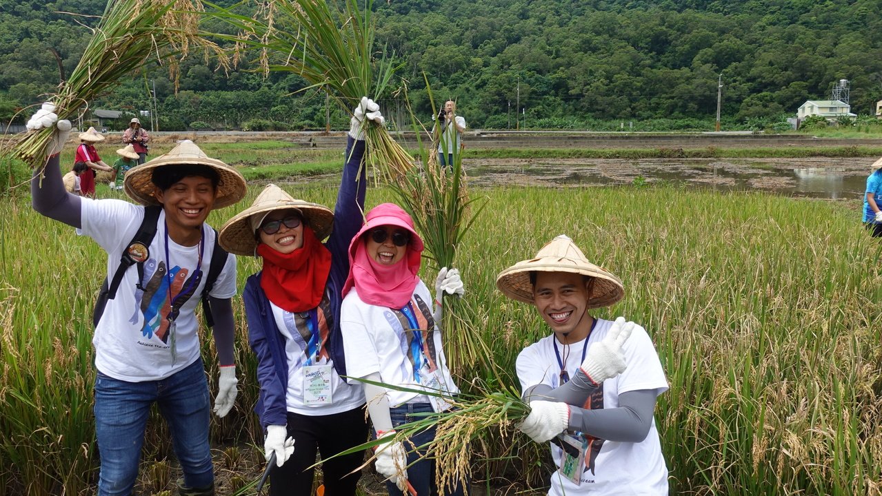 中興大學來自尼加拉瓜、泰國、印尼、越南及本地學生組國際隊伍，在鯉魚社區駐村，與當地居民攜手生態調查，也一起下田體驗割稻。記者劉星君／攝影