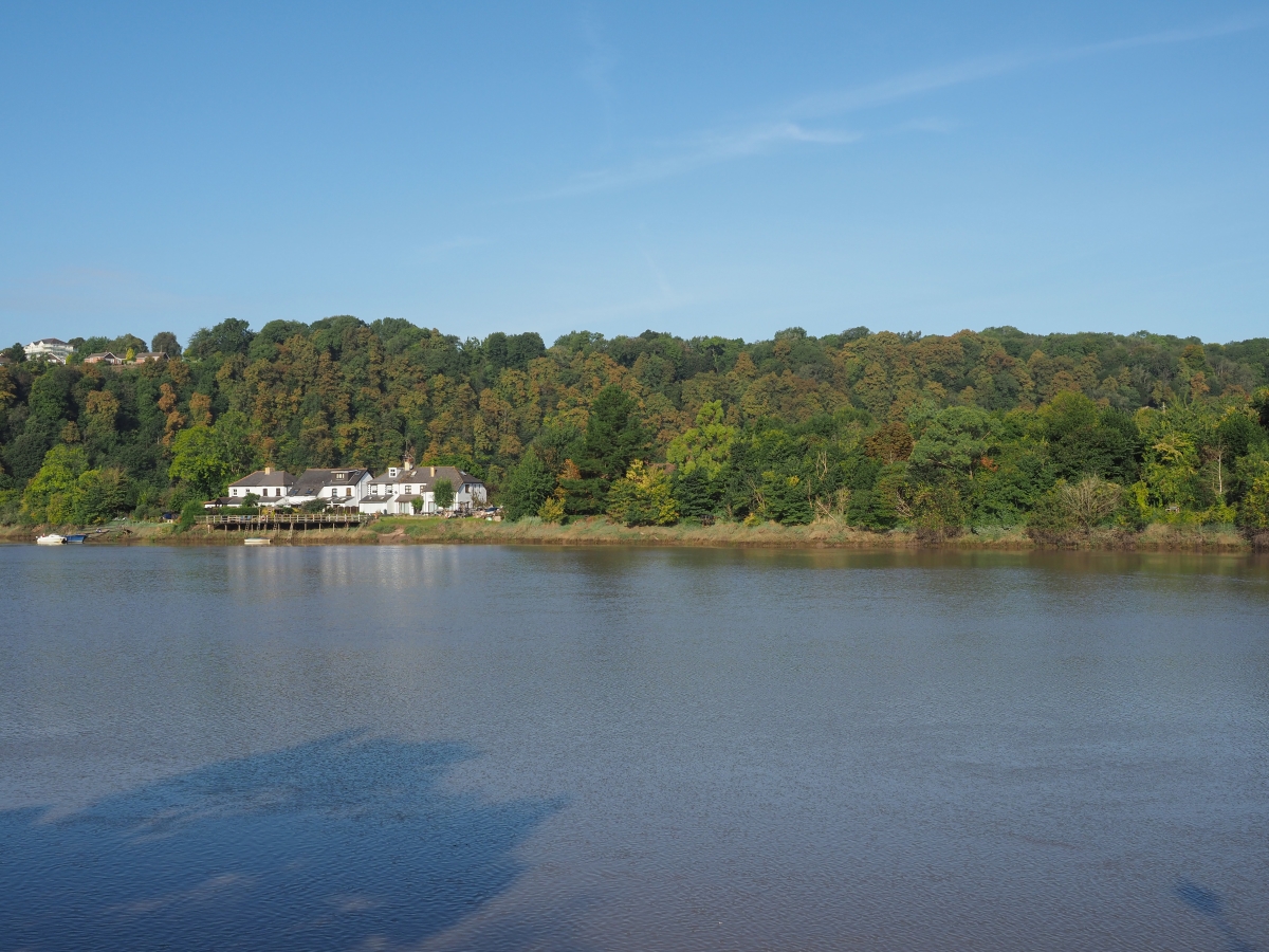 【News】Groundbreaking biotechnology deployment to clean up the river Wye