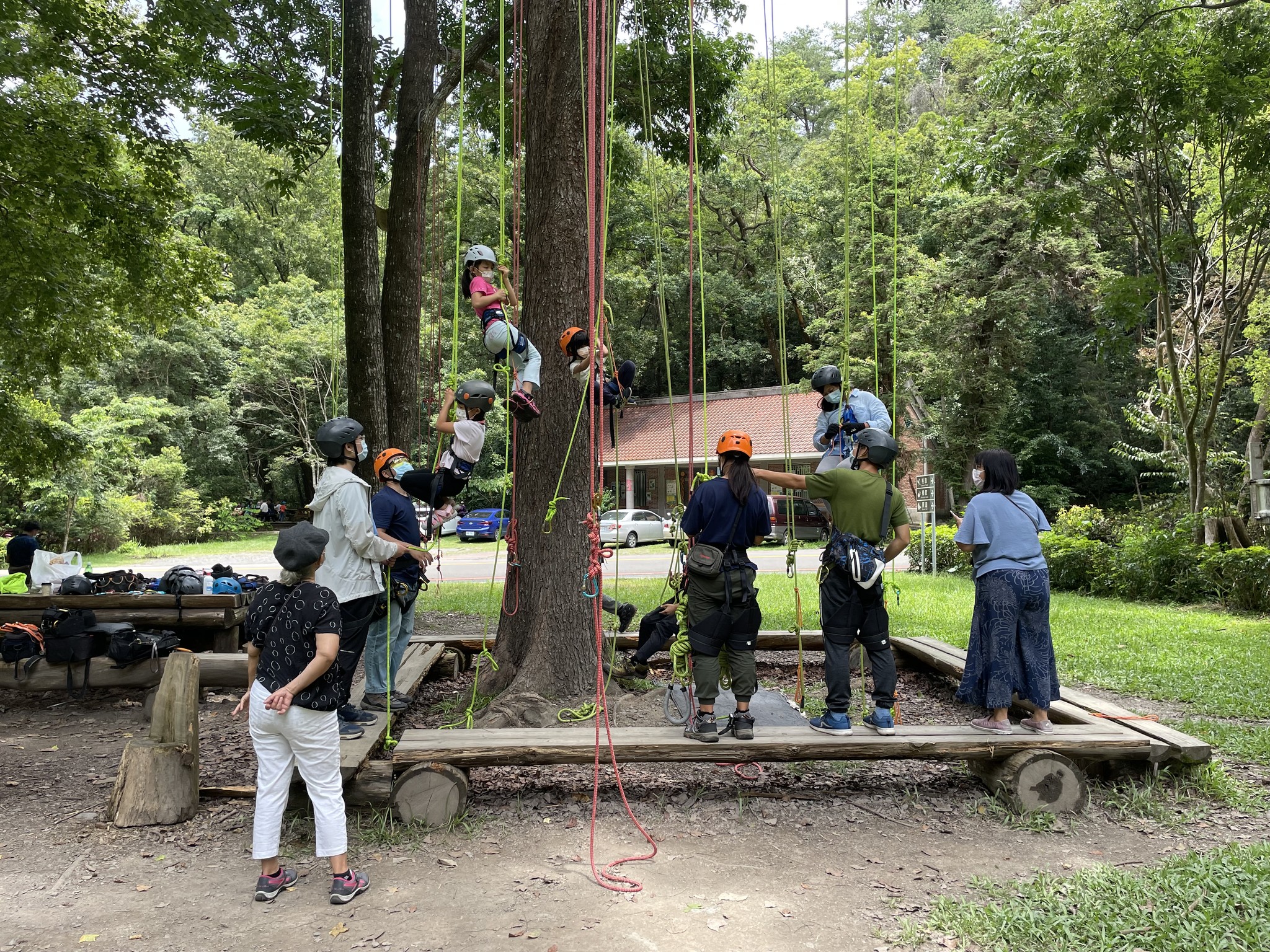 【News】Huisun Experimental Forest Station Launches Tree-Climbing Experience for Children's Day Holiday