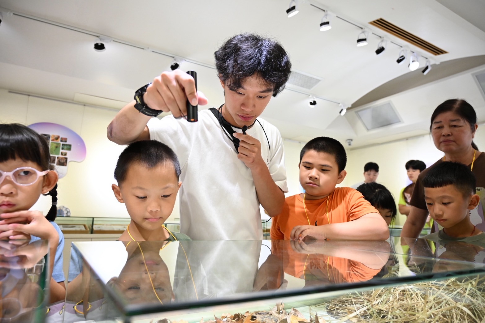 興大昆蟲系攜手苗栗新開國小舉辦「雕蟲小技」暑期科普營